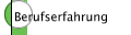 Berufserfahrung