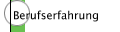 Berufserfahrung